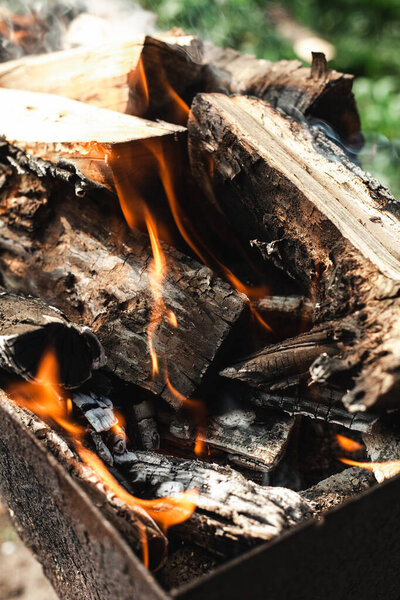 Дрова разводят огонь. Костёр
