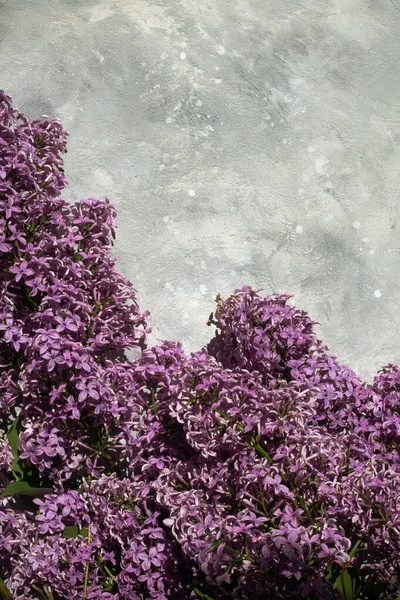 Buquê Lilás Encontra Sobre Fundo Claro Hora Primavera — Fotografia de Stock