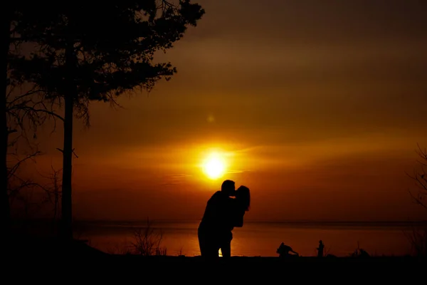 背景に美しい夕日のビーチでカップルのシルエット カップルを愛し 背景に人々 木や植物のシルエット — ストック写真