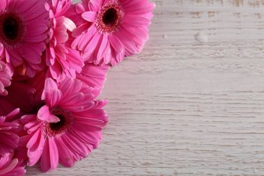 Gerbera ile büyük bir güzel önümüzdeki bir herhangi bir bağlama harika Dekorasyon dekorasyon kesme çiçekler ile mi.
