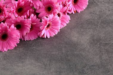 Gerbera ile büyük bir güzel önümüzdeki bir herhangi bir bağlama harika Dekorasyon dekorasyon kesme çiçekler ile mi.