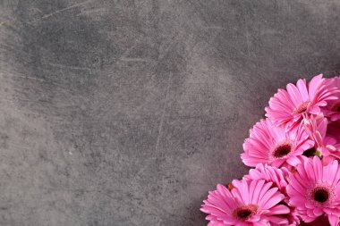 Gerbera ile büyük bir güzel önümüzdeki bir herhangi bir bağlama harika Dekorasyon dekorasyon kesme çiçekler ile mi.