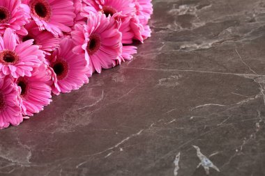 Gerbera ile büyük bir güzel önümüzdeki bir herhangi bir bağlama harika Dekorasyon dekorasyon kesme çiçekler ile mi.