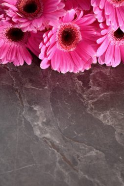 Gerbera ile büyük bir güzel önümüzdeki bir herhangi bir bağlama harika Dekorasyon dekorasyon kesme çiçekler ile mi.