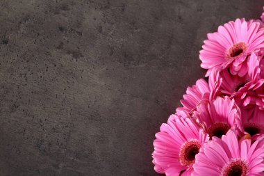 Gerbera ile büyük bir güzel önümüzdeki bir herhangi bir bağlama harika Dekorasyon dekorasyon kesme çiçekler ile mi.
