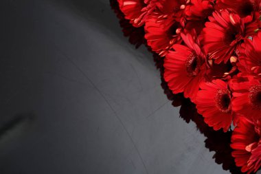 Gerbera ile büyük bir güzel önümüzdeki bir herhangi bir bağlama harika Dekorasyon dekorasyon kesme çiçekler ile mi.