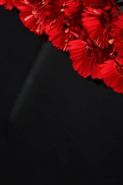 Gerbera ile büyük bir güzel önümüzdeki bir herhangi bir bağlama harika Dekorasyon dekorasyon kesme çiçekler ile mi.