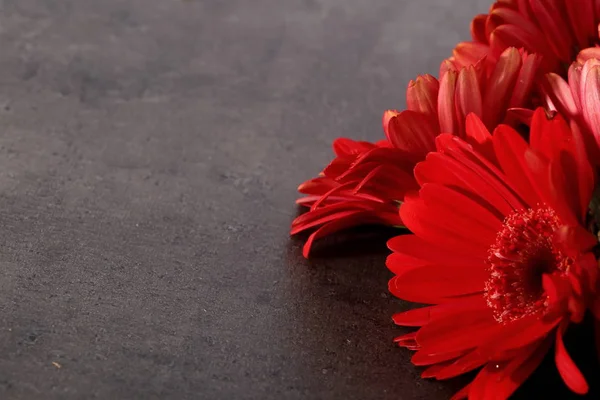 Gerbera ile büyük bir güzel önümüzdeki bir herhangi bir bağlama harika Dekorasyon dekorasyon kesme çiçekler ile mi.