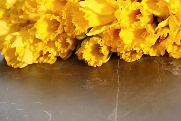 Narzisse Narzisse Eine Sorte Von Amaryllispflanzen — Stockfoto