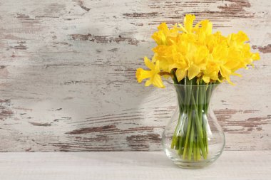 Narcissus - Nergis, bir tür amaryliaceous bitki türlerinin.