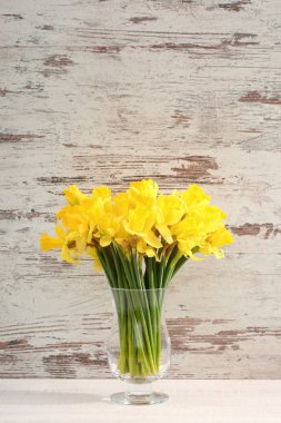 Narcissus - Nergis, bir tür amaryliaceous bitki türlerinin.