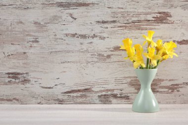 Narcissus - Nergis, bir tür amaryliaceous bitki türlerinin.