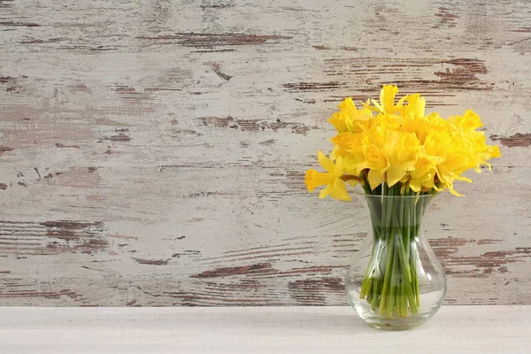 Narcissus Narciso Una Especie Planta Amarilácea — Foto de Stock