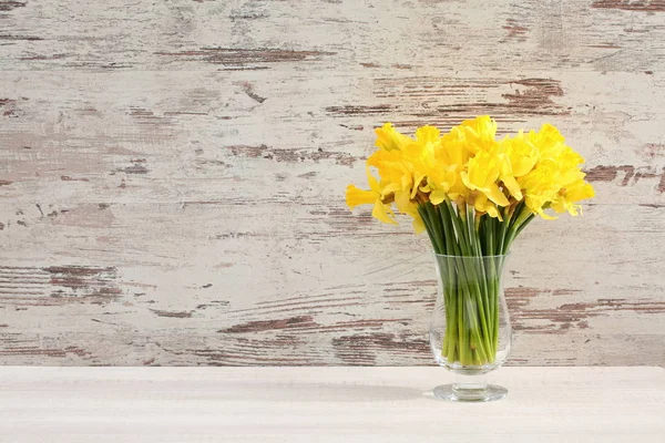 Narcissus Narciso Una Especie Planta Amarilácea — Foto de Stock