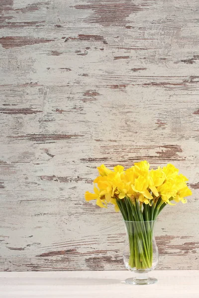 Narcissus - daffodil, a species of amaryliaceous plant species.