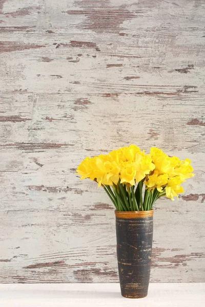 Narcissus Narciso Una Especie Planta Amarilácea — Foto de Stock