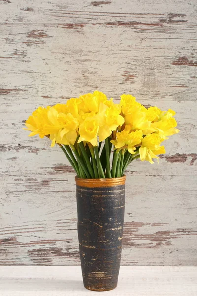 Narcissus Narciso Una Especie Planta Amarilácea — Foto de Stock