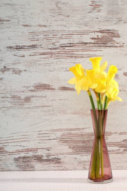 Narcissus - Nergis, bir tür amaryliaceous bitki türlerinin.