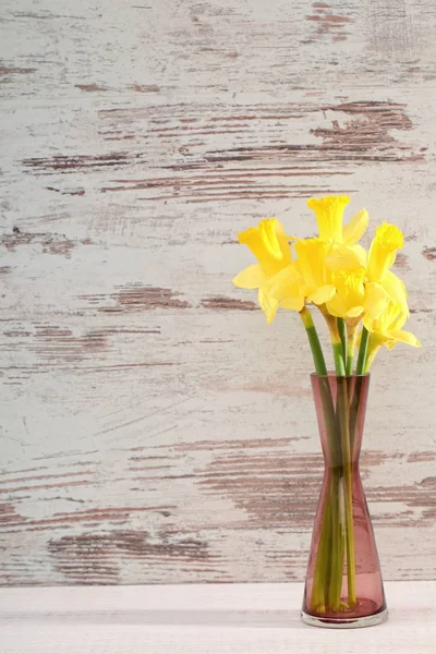 Narcissus Narciso Una Especie Planta Amarilácea — Foto de Stock