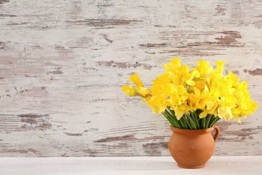 Narcissus - Nergis, bir tür amaryliaceous bitki türlerinin.