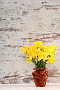 Narcissus - Nergis, bir tür amaryliaceous bitki türlerinin.