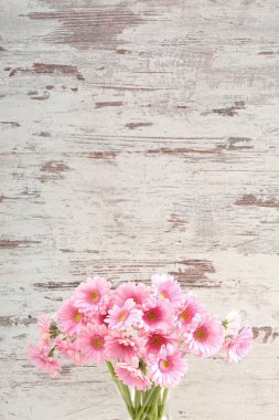 Gerbera ile büyük bir güzel önümüzdeki bir herhangi bir bağlama harika Dekorasyon dekorasyon kesme çiçekler ile mi.