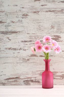 Gerbera ile büyük bir güzel önümüzdeki bir herhangi bir bağlama harika Dekorasyon dekorasyon kesme çiçekler ile mi.
