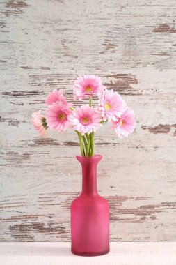 Gerbera ile büyük bir güzel önümüzdeki bir herhangi bir bağlama harika Dekorasyon dekorasyon kesme çiçekler ile mi.