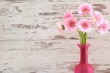 Gerbera ile büyük bir güzel önümüzdeki bir herhangi bir bağlama harika Dekorasyon dekorasyon kesme çiçekler ile mi.