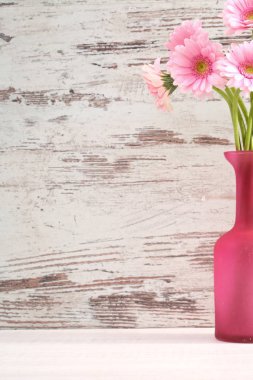 Gerbera ile büyük bir güzel önümüzdeki bir herhangi bir bağlama harika Dekorasyon dekorasyon kesme çiçekler ile mi.