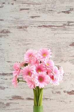 Gerbera ile büyük bir güzel önümüzdeki bir herhangi bir bağlama harika Dekorasyon dekorasyon kesme çiçekler ile mi.