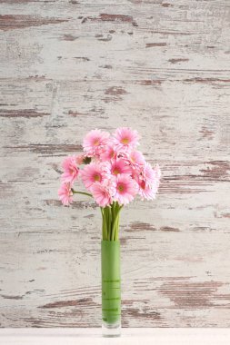 Gerbera ile büyük bir güzel önümüzdeki bir herhangi bir bağlama harika Dekorasyon dekorasyon kesme çiçekler ile mi.