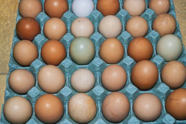Yumurta kutusunda organik renkli tavuk yumurtaları. Bu yumurtalar farklı türde tavuklar tarafından küçük gruplar halinde üretildi. Bu yüzden farklı renkler, desenler ve boyutlarda ortaya çıktılar..