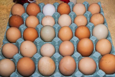 Yumurta kutusunda organik renkli tavuk yumurtaları. Bu yumurtalar farklı türde tavuklar tarafından küçük gruplar halinde üretildi. Bu yüzden farklı renkler, desenler ve boyutlarda ortaya çıktılar..