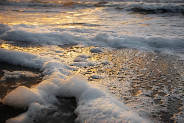 sea foam /  sunset light foam sea wave
