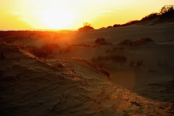 Sonnenuntergang Den Dünen Sonnenuntergang Abendlicht Der Wind Den Dünen — Stockfoto