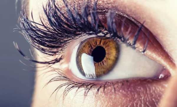 Zbliżenie: oko kobiety. makro piękne Kobieta Oko — Zdjęcie stockowe