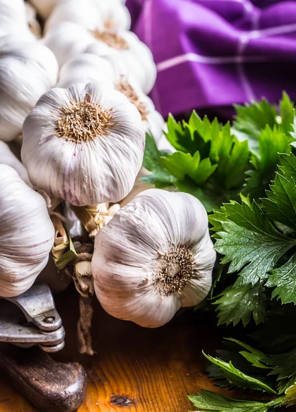 Aglio. Mazzo di aglio fresco con erbe di sedano — Foto Stock