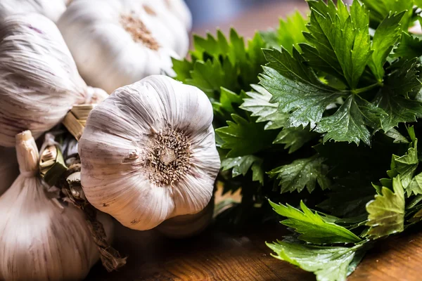 Garlic. Bunch of fresh garlic with celery herbs