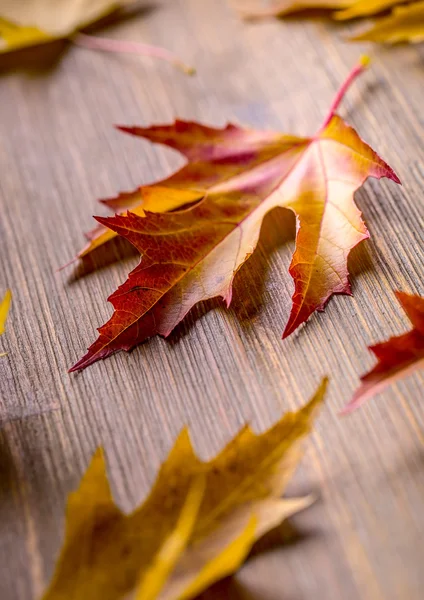 Otoño. Foto estacional. Hojas de otoño sueltas en una tabla de madera —  Fotos de Stock