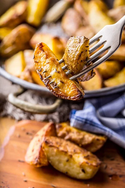 Potatis. Rostad potatis. Amerikanska potatis med salt peppar och spiskummin. Rostad klyftpotatis läckra krispiga — Stockfoto