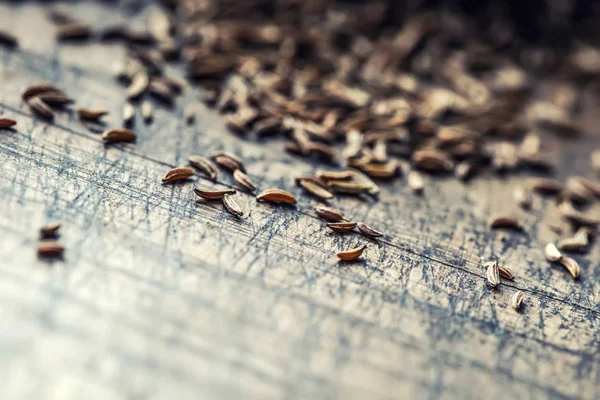 Cumin.Caraway frön på träbord. Spiskummin i vintage brons skål och sked — Stockfoto