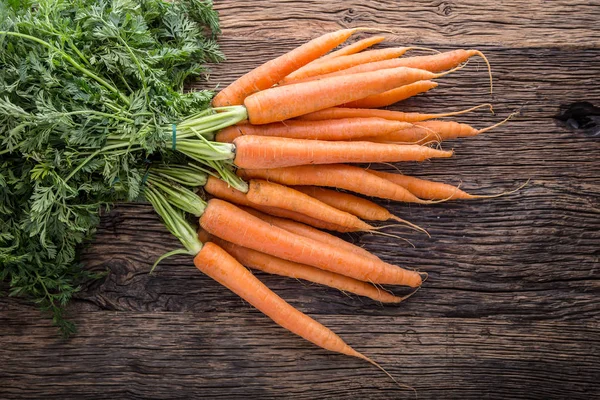 Морква. Свіжі морквини букет. Дитяча морква. Сира свіжа органічна апельсинова морква. Здорова веганська овочева їжа — стокове фото