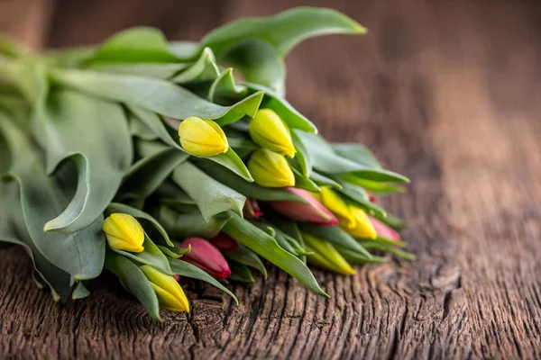 Tulipán. Tavaszi tulipán laza a tölgyfa asztal — Stock Fotó