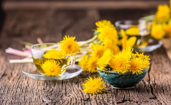 Gyermekláncfű, pitypang Tea.Yellow virágok és a csésze tea — Stock Fotó