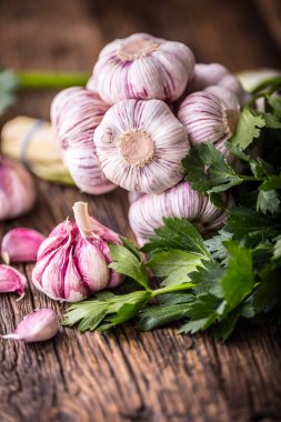 Sarımsak. Taze sarımsak ampuller eski ahşap tahta üzerinde. Kırmızı mor sarımsak