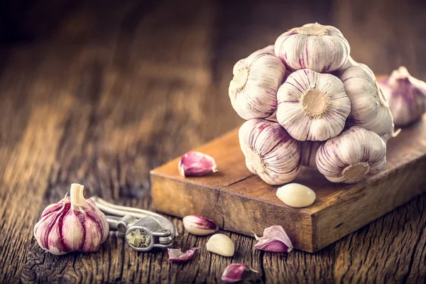 Garlic. Fresh garlic bulbs on old wooden board. Red violet garlic