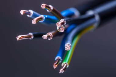 Grup renkli elektrik kabloları - studio vurdu