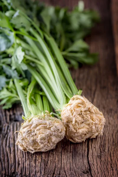 Rotselleri. Färsk rotselleri med blad på rustik ek bord — Stockfoto