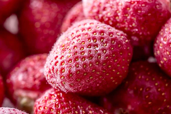 Jordgubbe. Frysta jordgubbar som omfattas av frost - närbild — Stockfoto